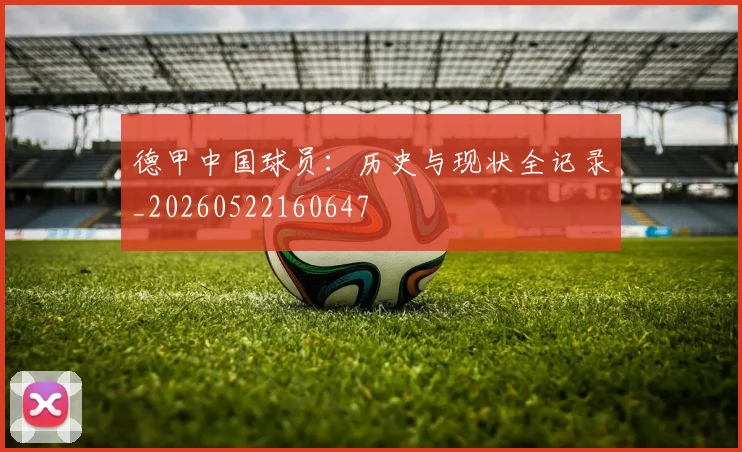德甲中国球员：历史与现状全记录_20260522160647