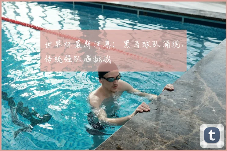 世界杯最新消息：黑马球队涌现，传统强队遇挑战